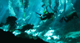 Diving in Cenotes with Playa Scuba